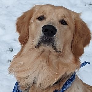 Meet your Posher, Allyson